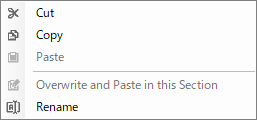 CameraTool_ContextMenu.png